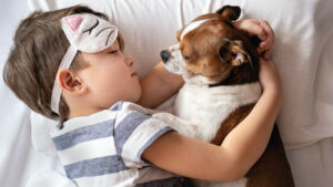 Подробнее о статье Присутствие домашних питомцев в постели значительно улучшает качество сна ребенка — новости медицины