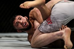 Подробнее о статье Российский боец Царукян поднялся в рейтинге UFC